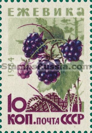 Russia stamp 3135